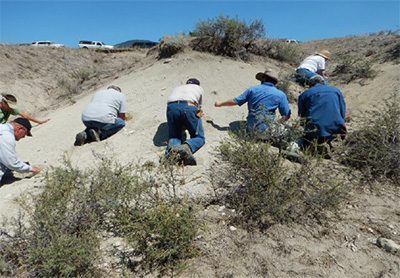 Institutional Support from The Rocky Mountain Association of Geologists Foundation